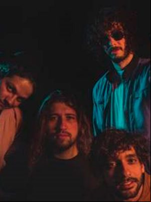 selvagens-ok