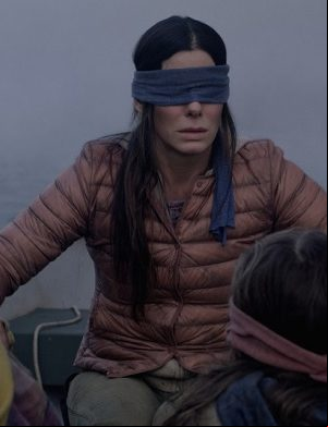 sandra-bullock-em-bird-box