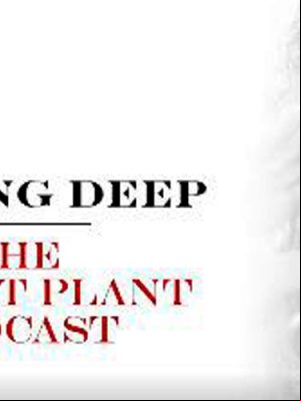 david-gilmour-e-robert-plant-podcast