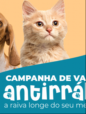 jovem